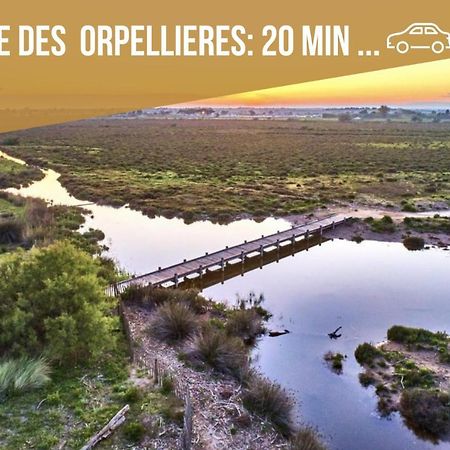 Centre Historique - Free Parking - Self Checkin - Wifi - Industriel - Sleepntripbeziers Διαμέρισμα Εξωτερικό φωτογραφία