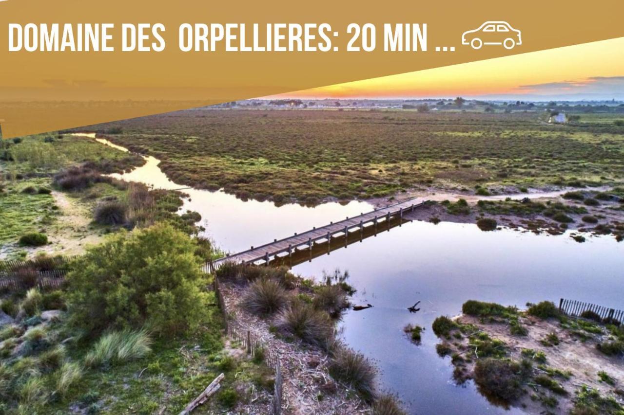 Centre Historique - Free Parking - Self Checkin - Wifi - Industriel - Sleepntripbeziers Διαμέρισμα Εξωτερικό φωτογραφία